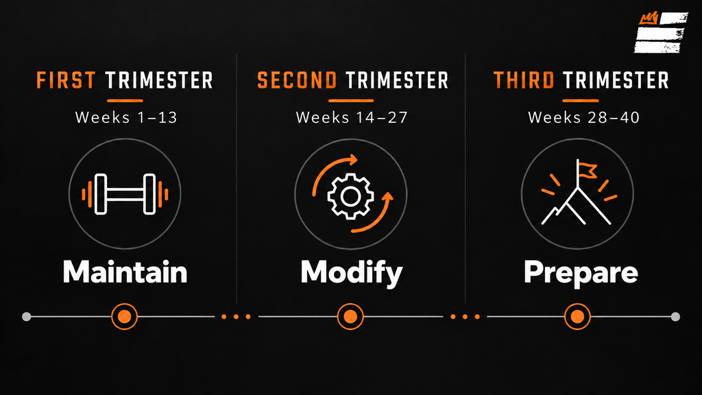 Timeline showing the three trimesters of pregnancy and the main training focus in each